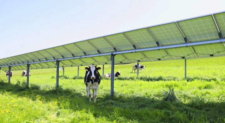 Energy panels for the world GmbH